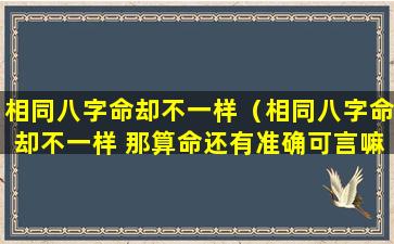 相同八字命却不一样（相同八字命却不一样 那算命还有准确可言嘛）